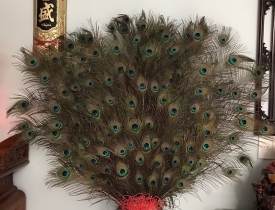 LÔNG CÔNG NGŨ PHÚC CÂN BẰNG ÂM DƯƠNG